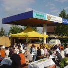 894042.jpg