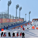 AFP_Z338L.jpg