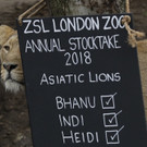 Inventur im Londoner Zoo