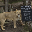 Britain_Zoo_01705.jpg