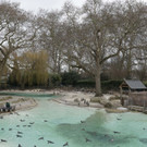 Britain_Zoo_34099.jpg