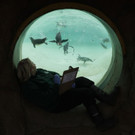 Britain_Zoo_36087.jpg