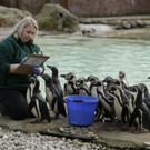 Britain_Zoo_43536.jpg