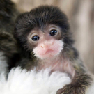 baby1.jpg