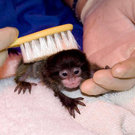 baby2.jpg