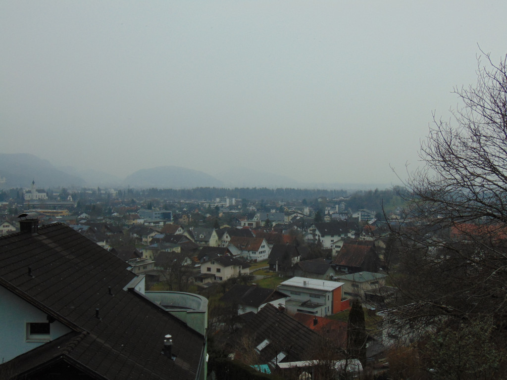 DSC05685.JPG