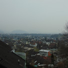 DSC05685.JPG