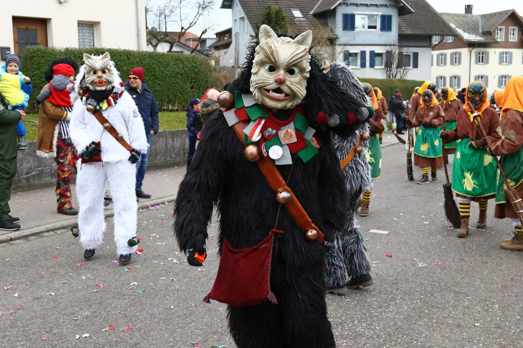 2018-02-10_0500_bearbeitet-1.jpg
