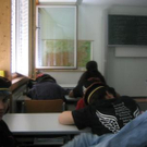 901658.jpg