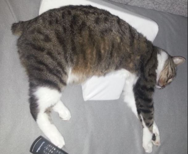 2018-02-12 11_48_08-Start.jpg