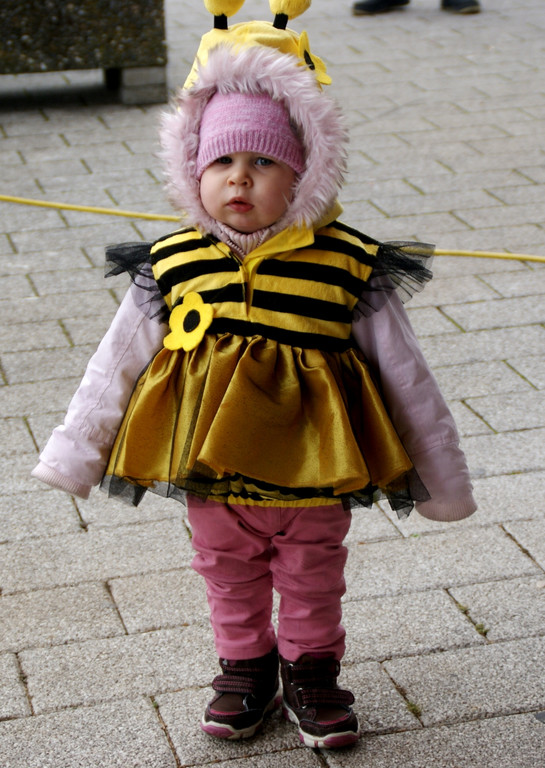 Ein s____es Bienchen-Maja.JPG
