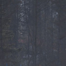 Meldungsliste_15__14.jpg