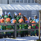 995 Faschingsumzug 2018.jpg
