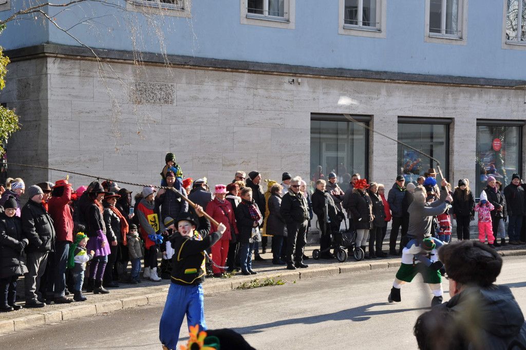 13022018fmt_fasching_reichenhall_ui_02.jpg