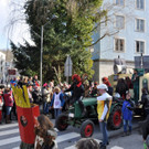 13022018fmt_fasching_reichenhall_ui_23.jpg