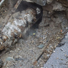 20180215_fmt_rohrbruch_auerspergstr_mw-8.jpg