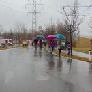 DSC05749.JPG