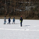 Zirkelblumen im Schnee