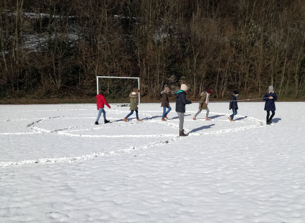 IMG_20180214_111155.jpg