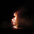 IMG_1290.JPG