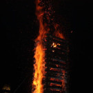 IMG_6759.jpg