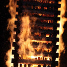IMG_6783.jpg