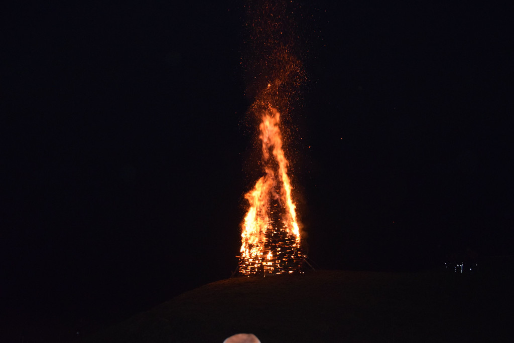 DSC_0041.JPG