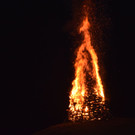 DSC_0042.JPG