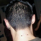 912564.jpg