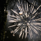 IMG_2529.JPG
