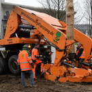 Dornbirn: Bäume werden verpflanzt