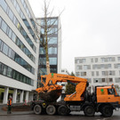 Baumverpflanzung 3.jpg