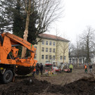 Baumverpflanzung 4.jpg