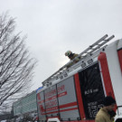 Feuerwehr Grödig rettet Katze von Baum