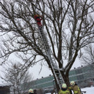 Feuerwehreinsatz 2.jpg