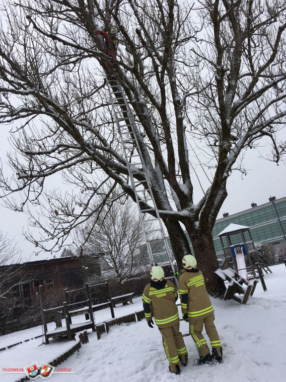 Feuerwehreinsatz 6.jpg