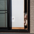 Meldungsliste_14__6.jpg