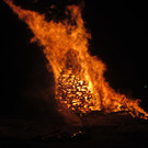 IMG_4415.JPG