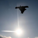 ABD0068-20180222.jpg