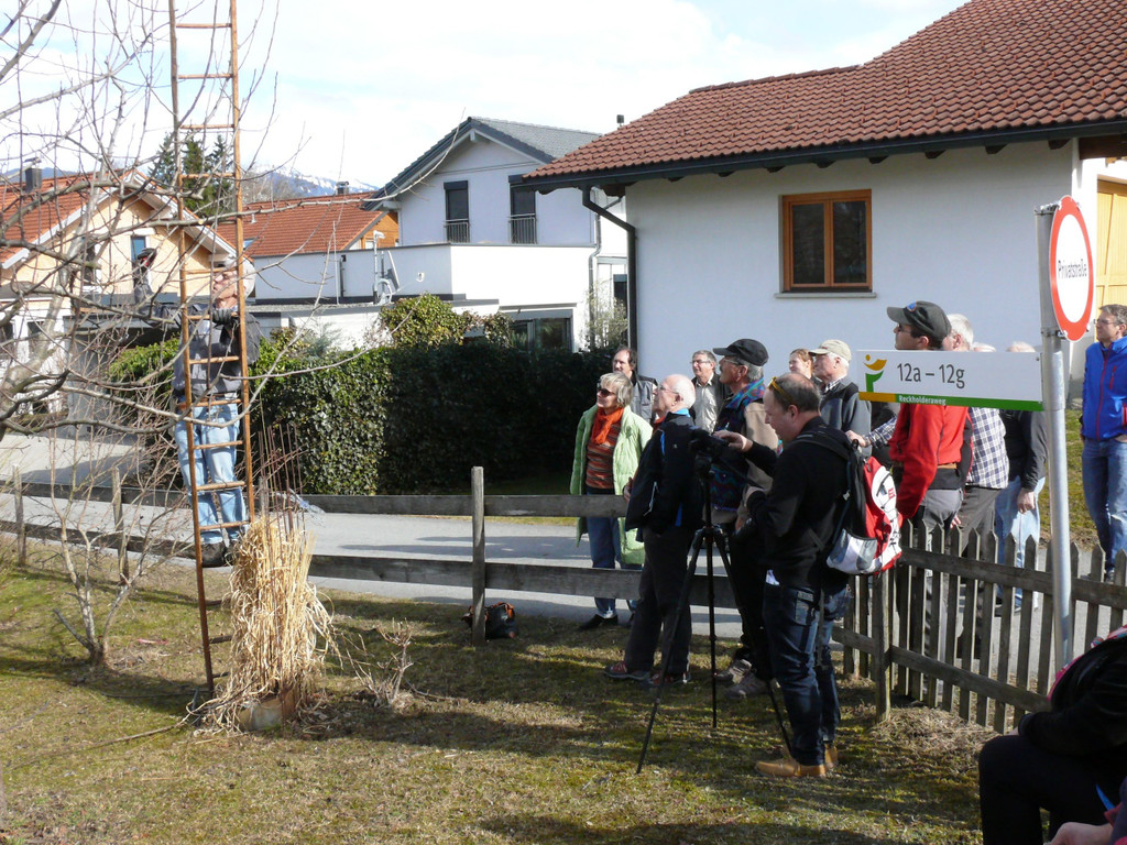 P1580926.JPG