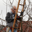 Winterschnittkurs
