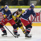 Vienna Capitals - Red Bull Salzburg