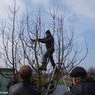 Winterschnittkurs_2018_036.jpg