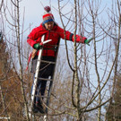 Winterschnittkurs_2018_031.jpg