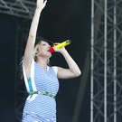 the Ting Tings - frequency festival 2009 - st_p__lten - florian wieser _19_.jpg