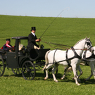 Rösslerfest Möggers 2009