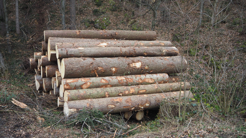 P2243302.JPG