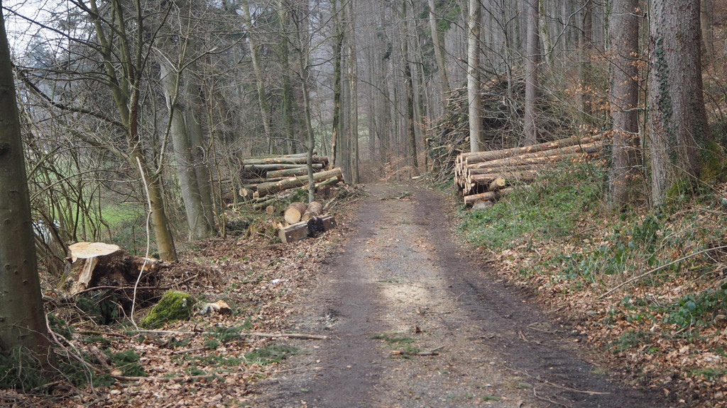 P2243304.JPG