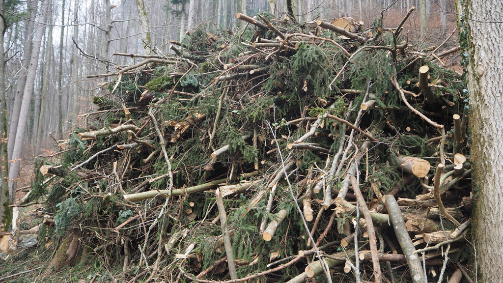 P2243312.JPG
