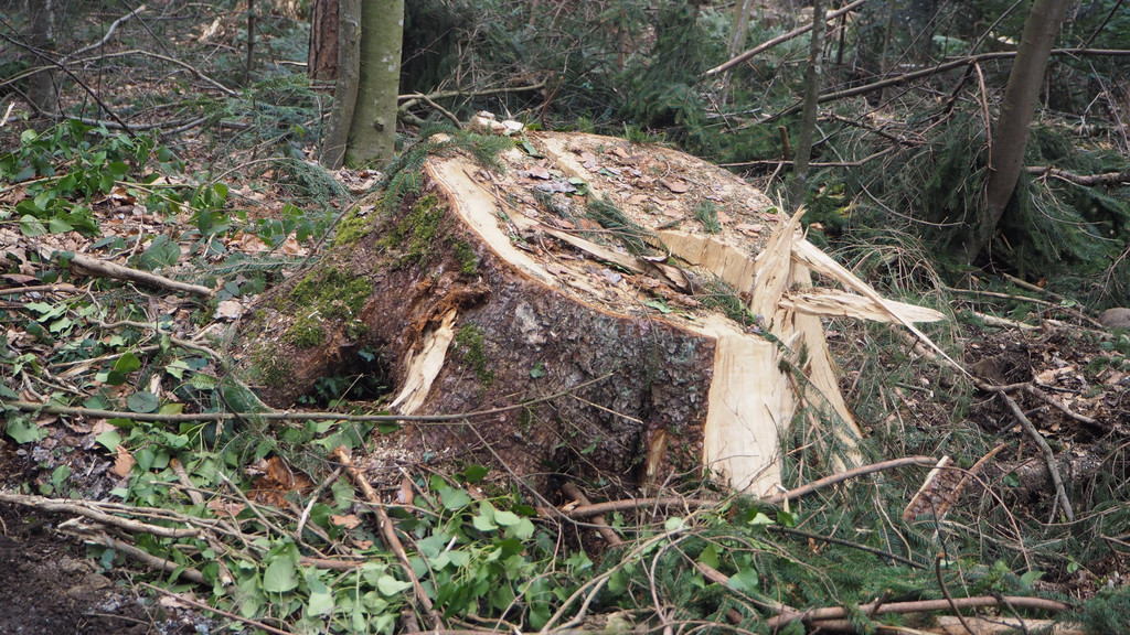 P2243322.JPG